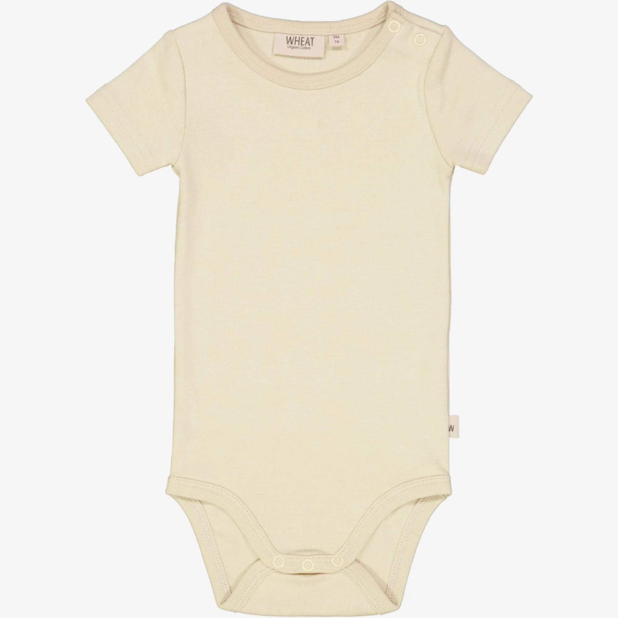 Body Plain SS - clam