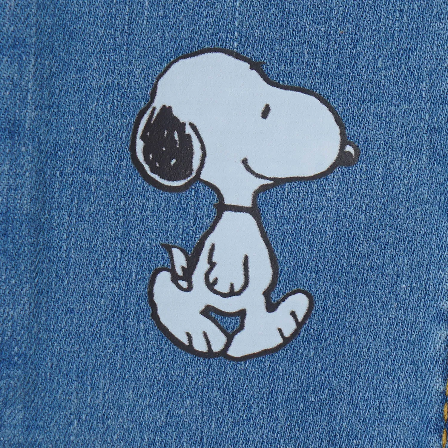 Boys Pant Denim Character - Ice Blue