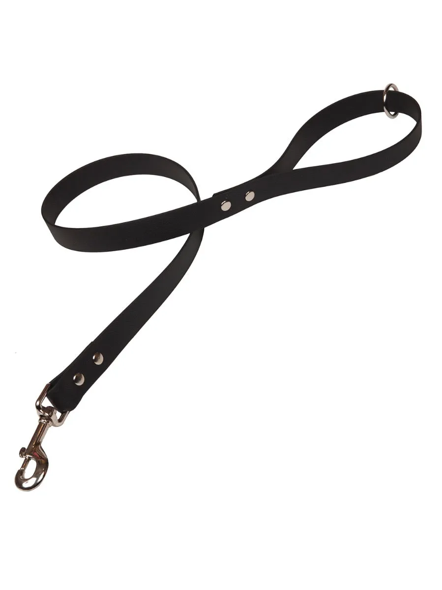 Bright Biothane Vegan Leather Waterproof Dog Leads