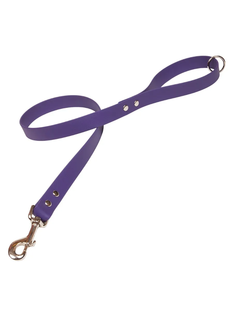 Bright Biothane Vegan Leather Waterproof Dog Leads