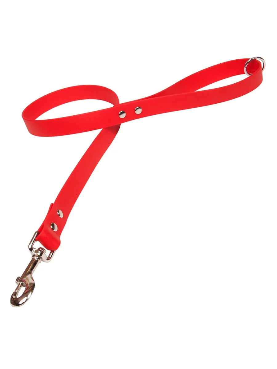 Bright Biothane Vegan Leather Waterproof Dog Leads