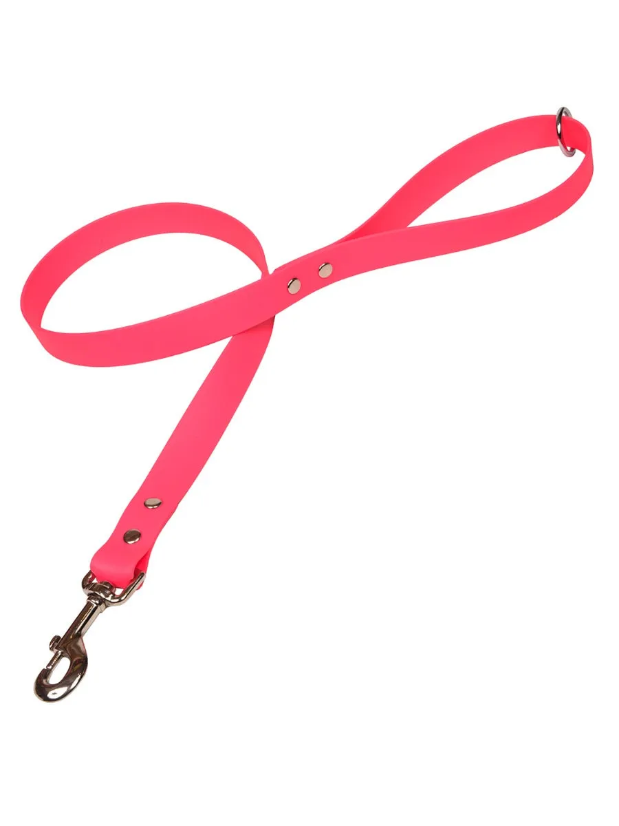 Bright Biothane Vegan Leather Waterproof Dog Leads