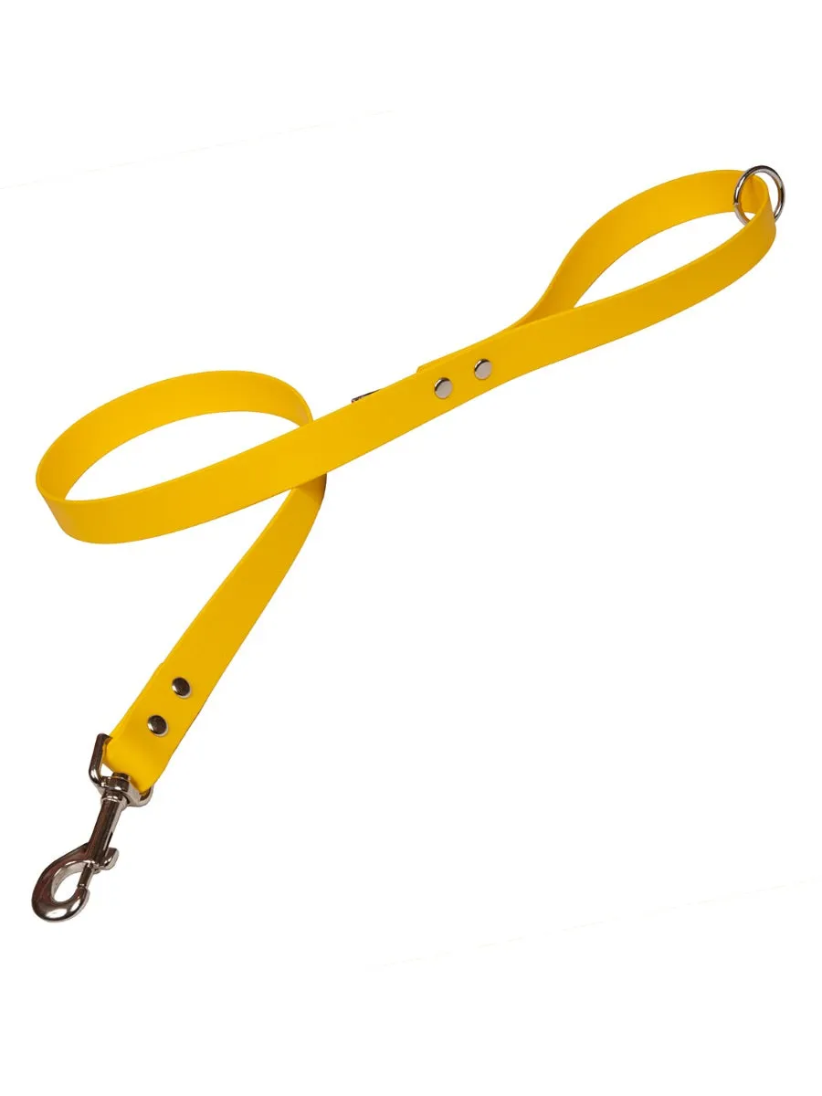 Bright Biothane Vegan Leather Waterproof Dog Leads