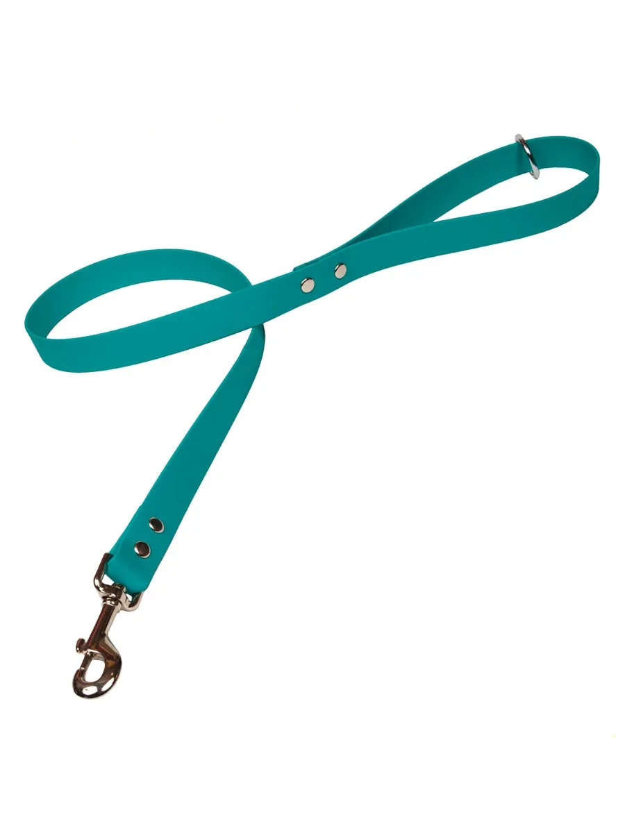 Bright Biothane Vegan Leather Waterproof Dog Leads