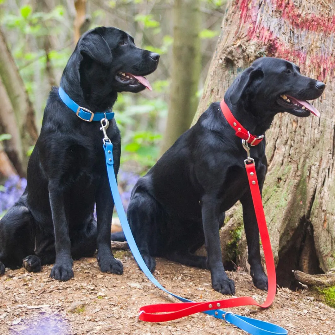 Bright Biothane Vegan Leather Waterproof Dog Leads