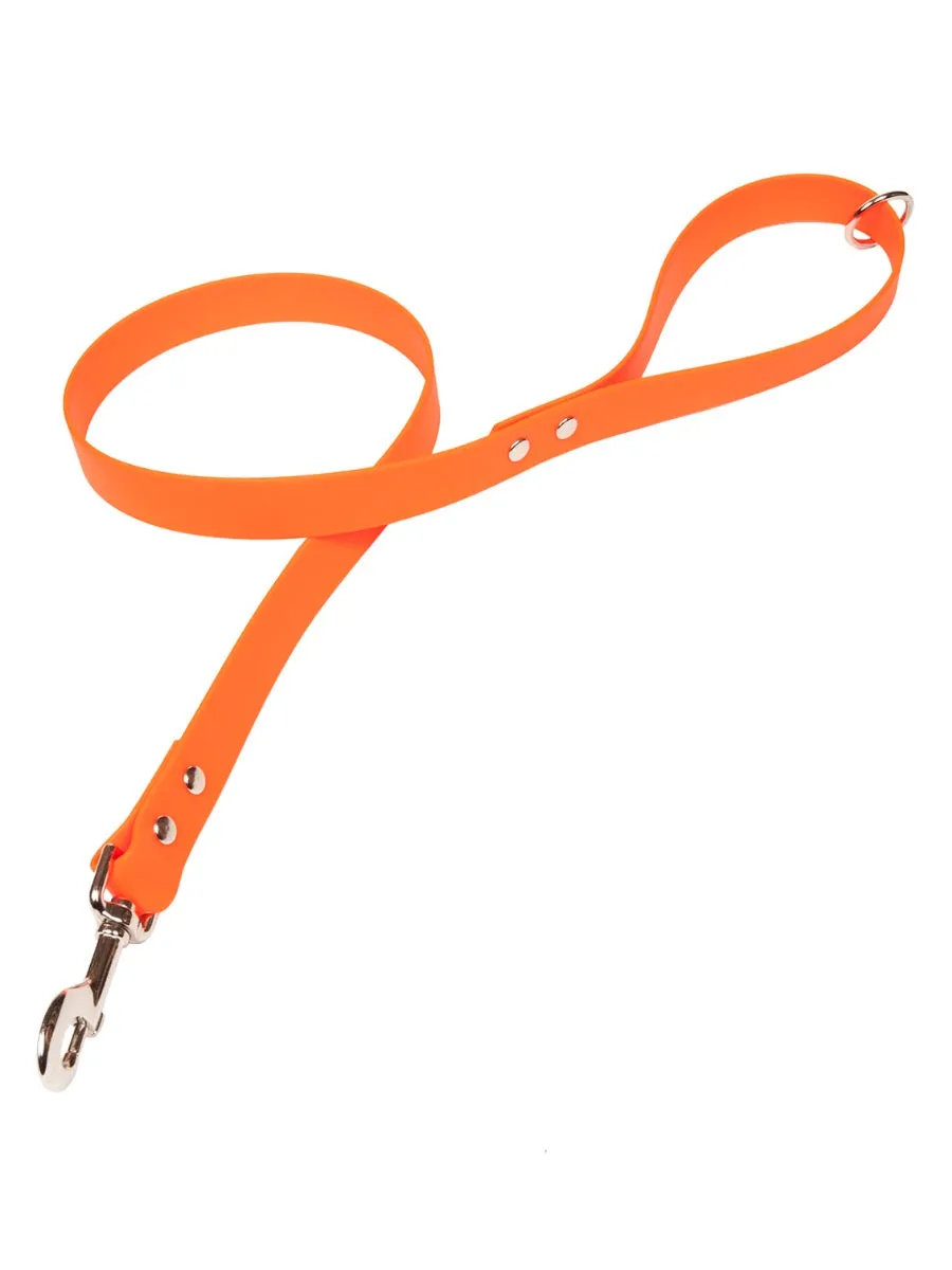 Bright Biothane Vegan Leather Waterproof Dog Leads