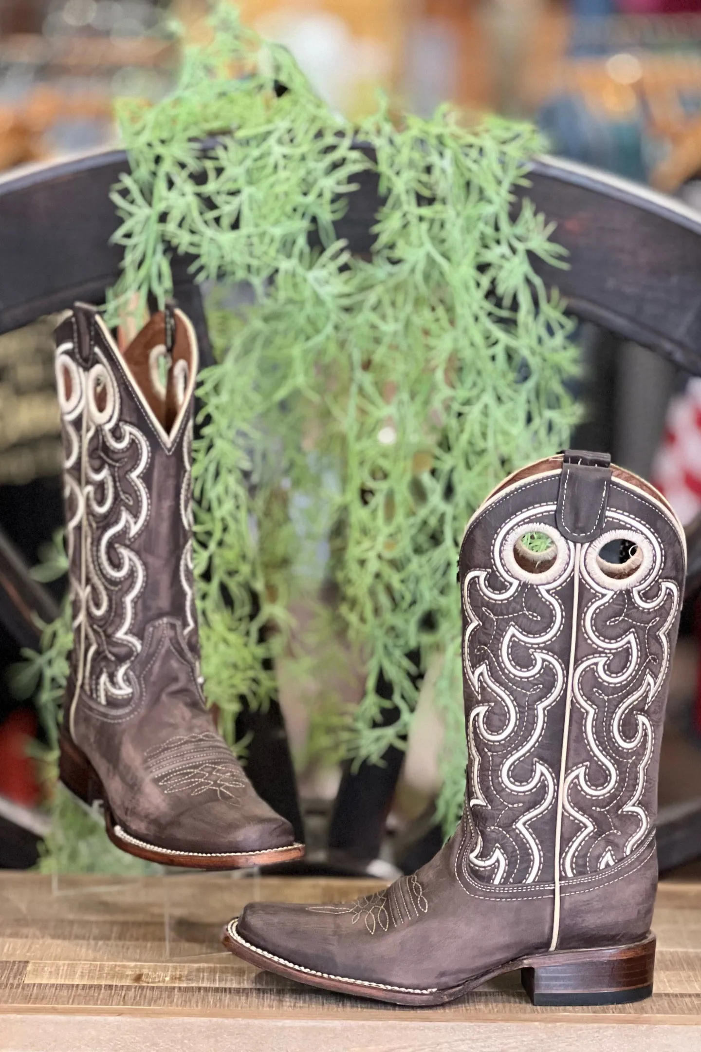 Chocolate Cutout & Embroidered Square Toe Boot by Circle G