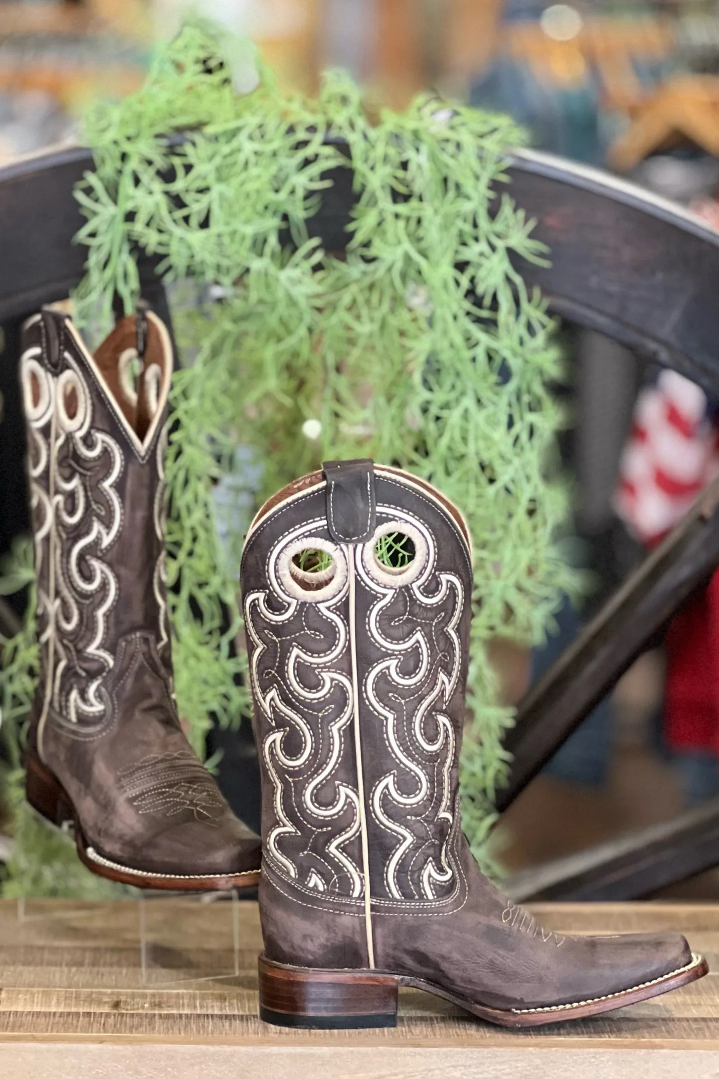 Chocolate Cutout & Embroidered Square Toe Boot by Circle G