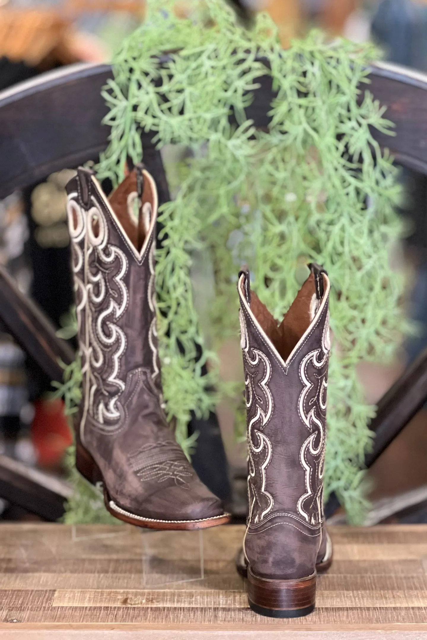 Chocolate Cutout & Embroidered Square Toe Boot by Circle G