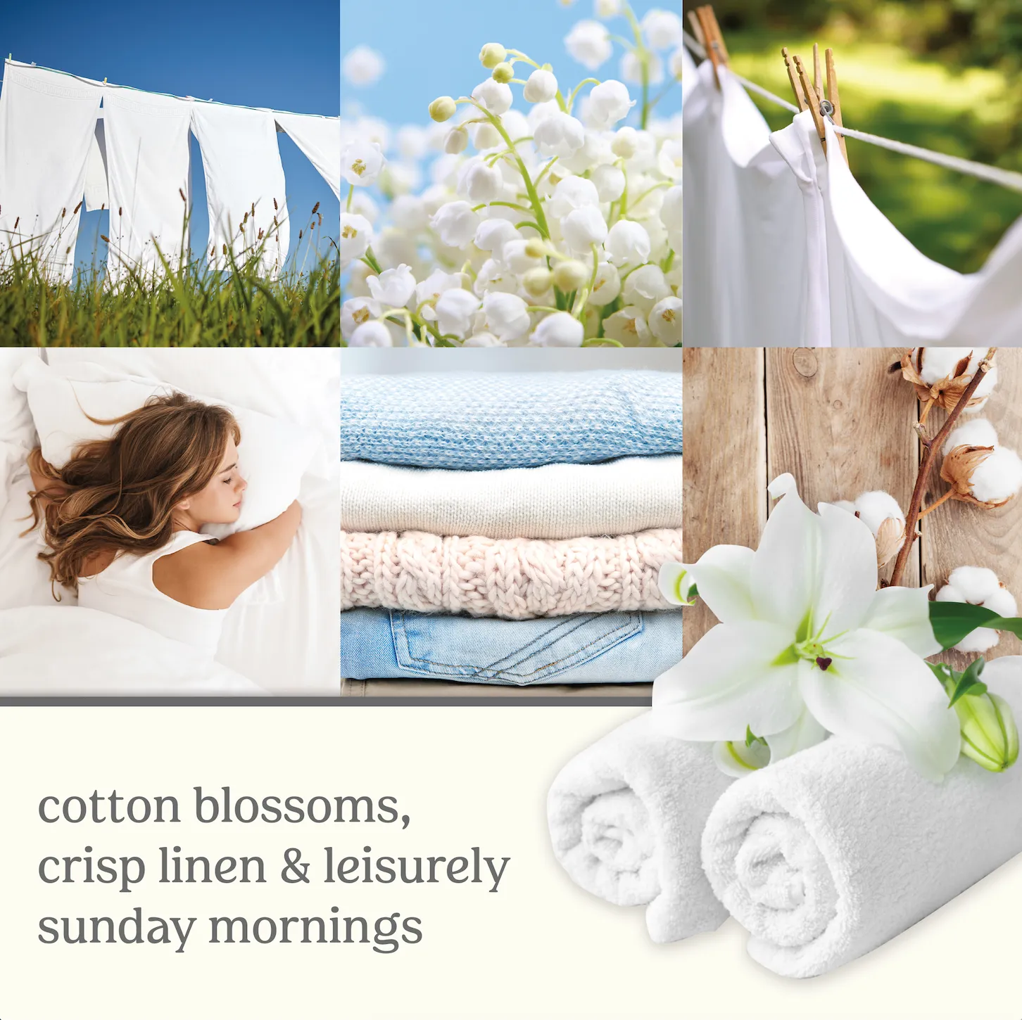 Clean Cotton 120ml Reed Diffuser