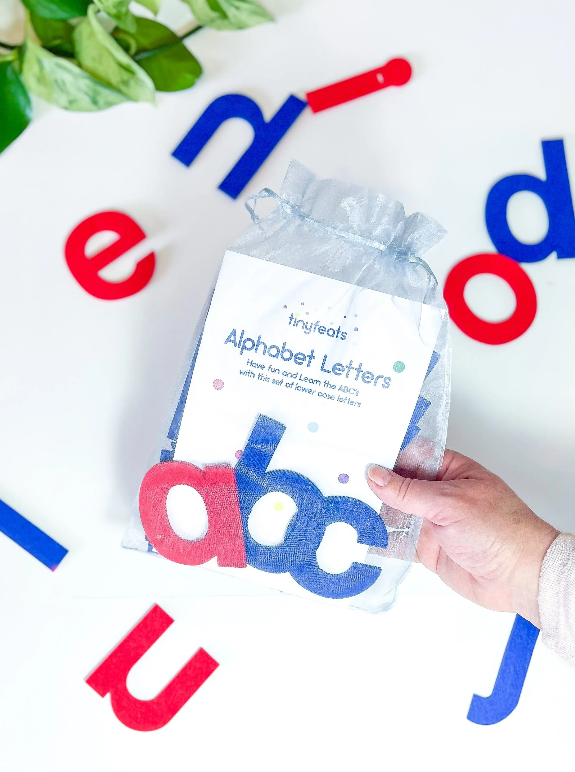 Montessori Letters Felt