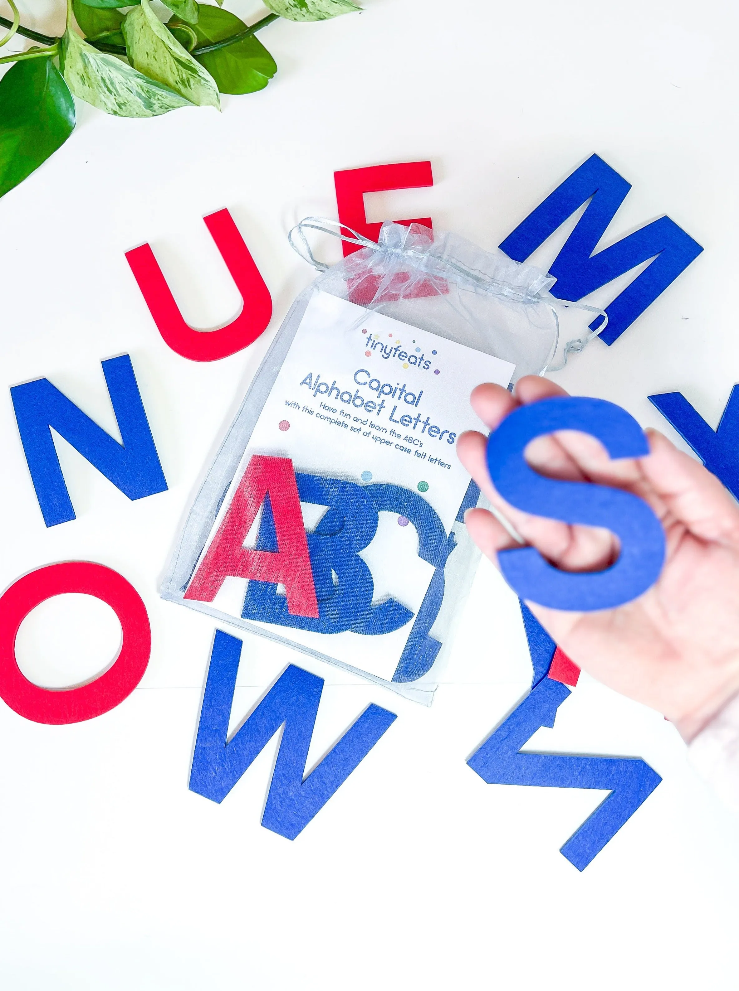 Montessori Letters Felt
